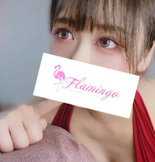 Flamingo (フラミンゴ) 皆川ゆき