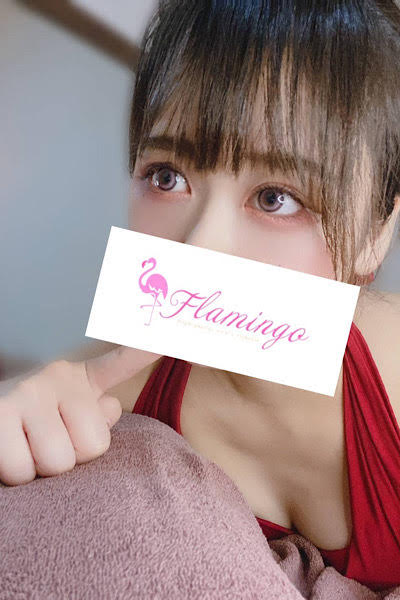 Flamingo (フラミンゴ) 皆川ゆき