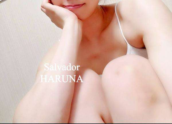 Salvador (サルバドール) HARUNA