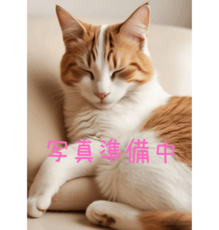 愛猫 美波あお