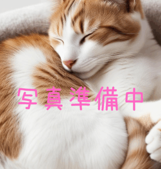 愛猫 雪咲ほのか