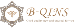 B-QINSのバナー画像