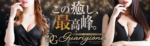 Guerigione バナー画像