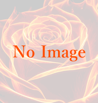 Bed of Roses (ベッドオブローゼス) 鮎川もも