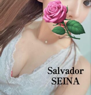Salvador (サルバドール) SEINA