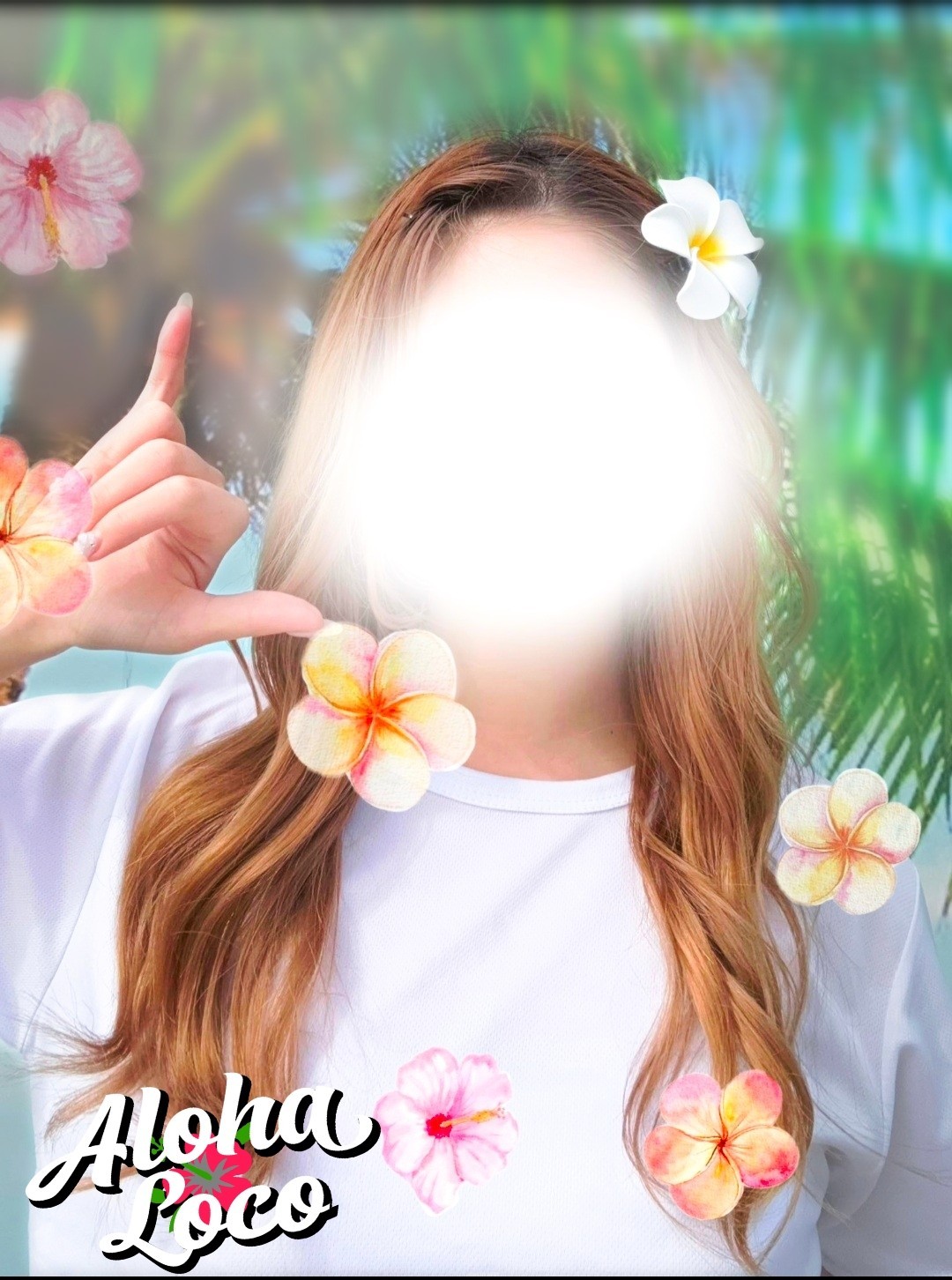 Aloha. Loco (アロハロコ) ノア