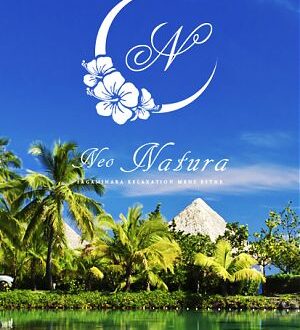 Neo NATURA (ネオナチュラ) 楠にこ