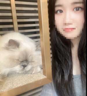 ホールインワン (ホールインワン) ゆか