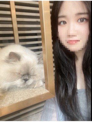 ホールインワン (ホールインワン) ゆか