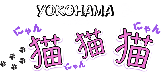 にゃんにゃんにゃん