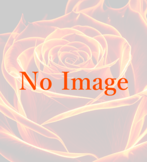 Bed of Roses (ベッドオブローゼス) 柚原はな