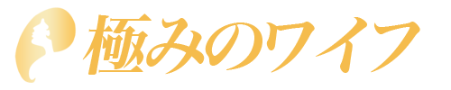 極みのワイフ