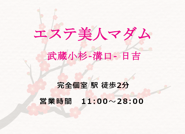 美人マダム 武蔵小杉・溝の口