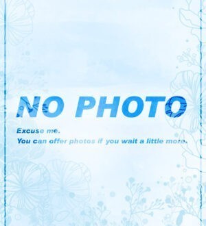 Smile (スマイル) みさ