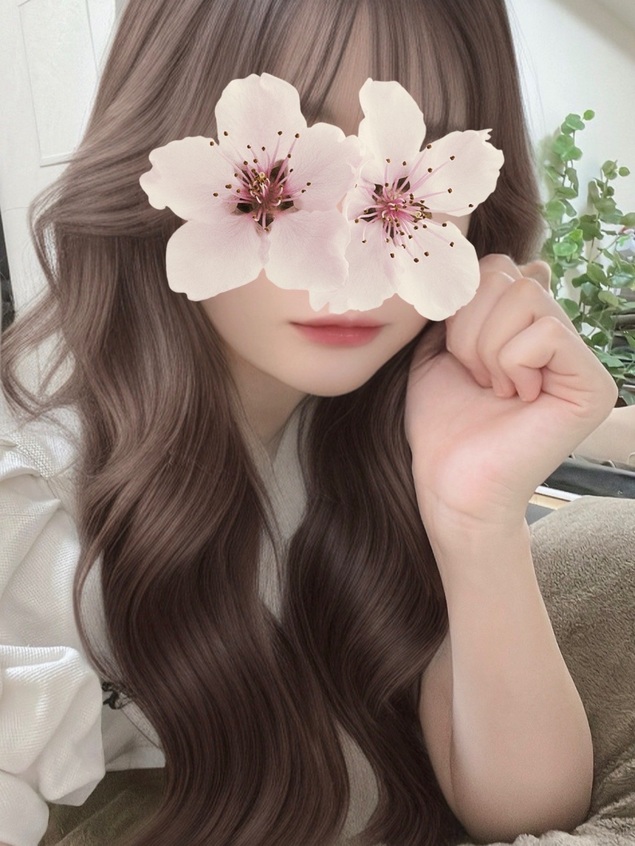 ChouChou spa (シュシュスパ) ゆのちゃん