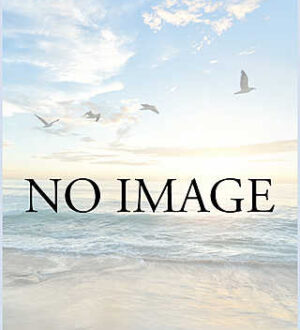 OCEAN (オーシャン) さよ