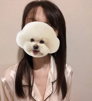 紳士のおうち 千代子