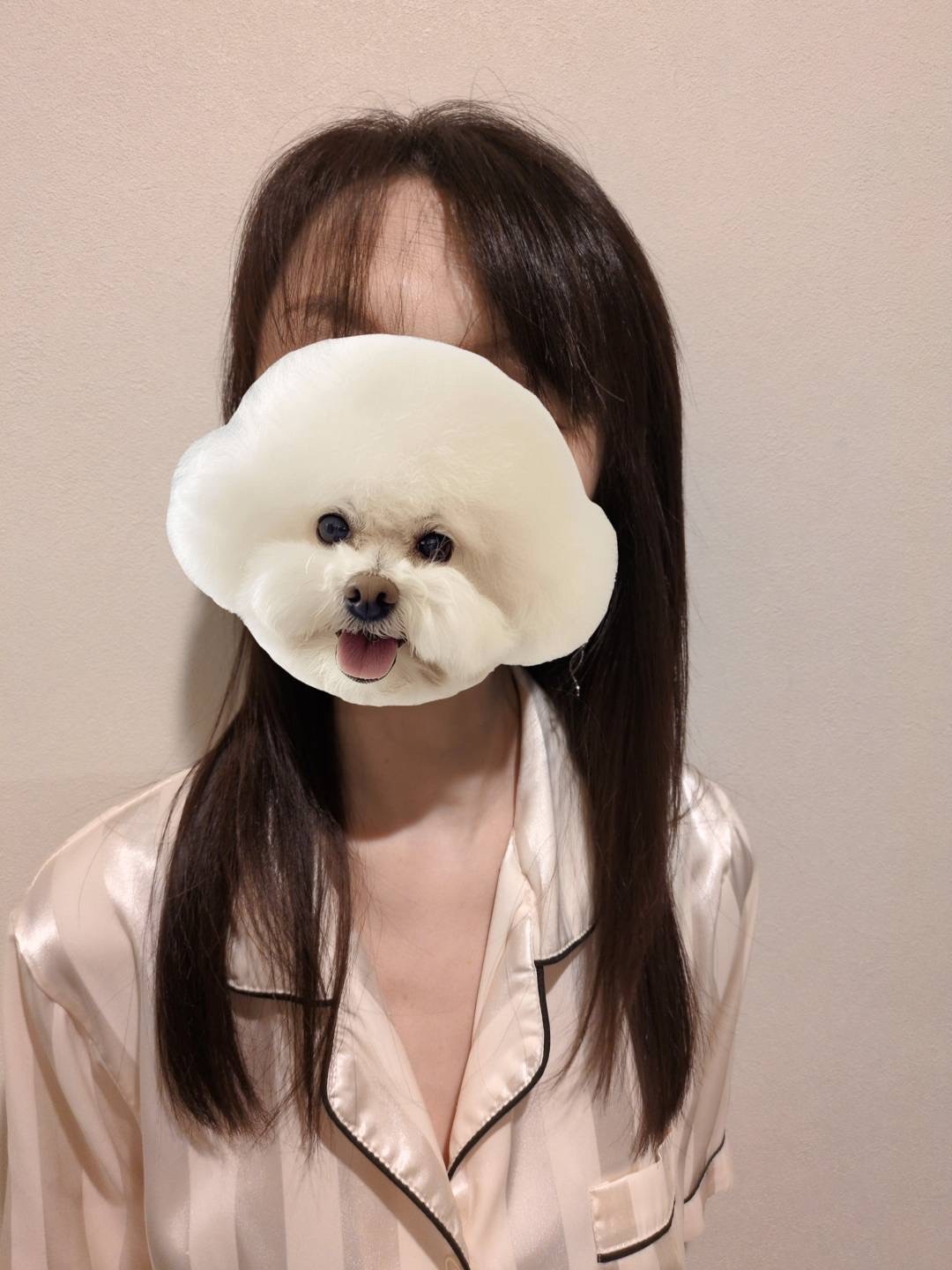 紳士のおうち 千代子