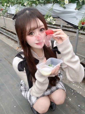 NODOUBT (ノーダウト) よつは