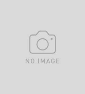 恋エス！ レイナ